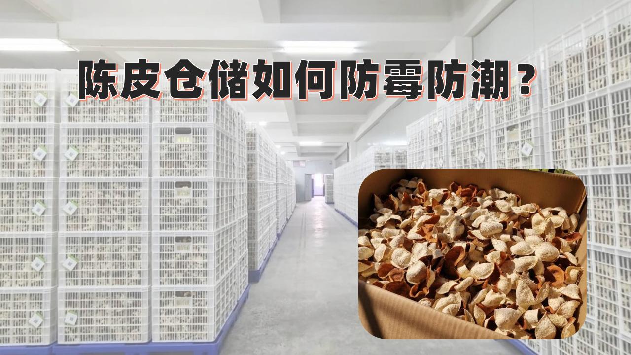 陳皮倉儲長霉發(fā)霉損失大？百適涂無機陶瓷涂料打造“零霉變”防護層