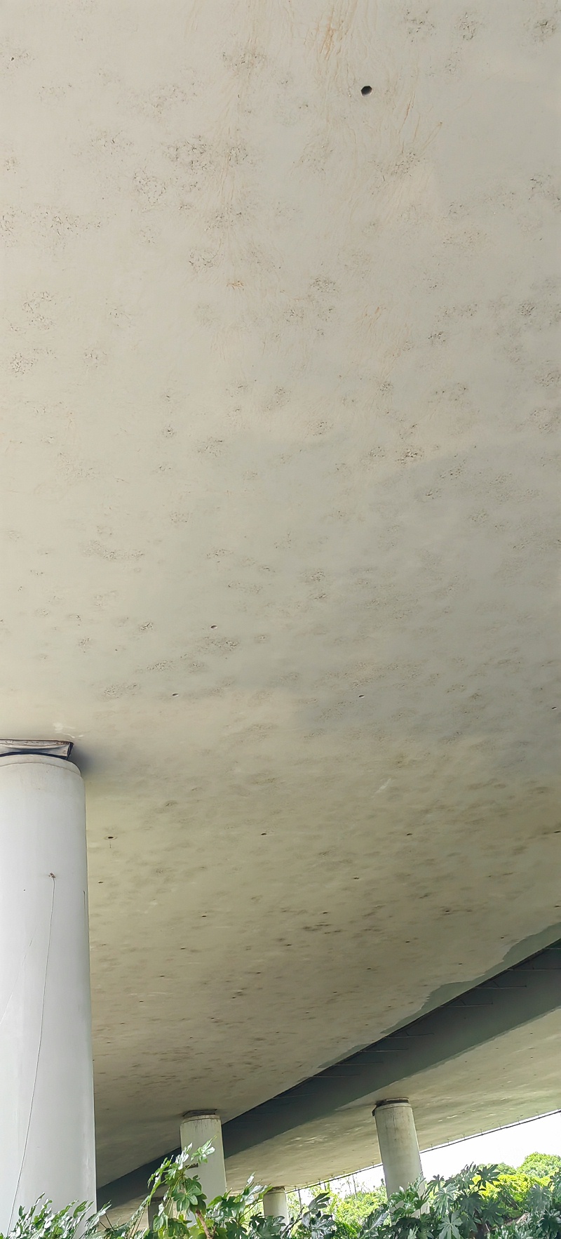 橋梁防霉防腐涂料應(yīng)用效果對(duì)比圖