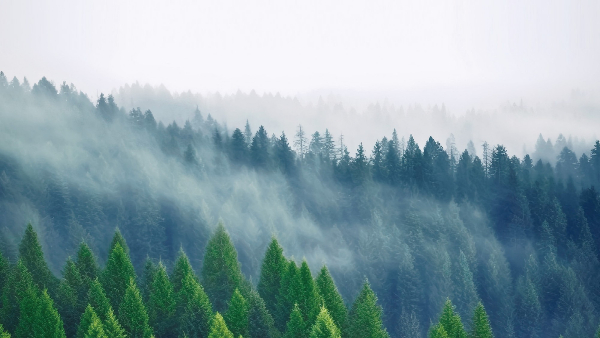 無機涂料的全生命周期綠色理念