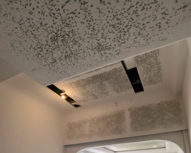 傳統(tǒng)材料霉變對(duì)比