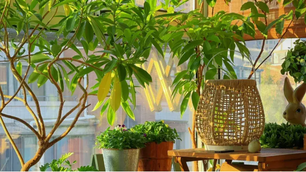 告別裝修污染！百適涂無(wú)機(jī)涂料：無(wú)味防霉，守護(hù)家人健康呼吸