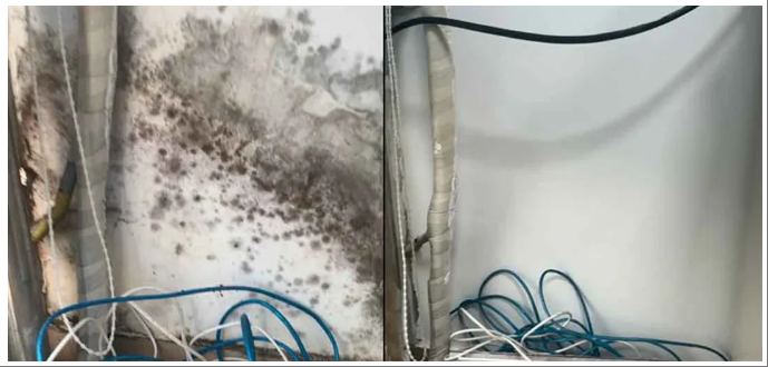 抗菌防霉效果展示