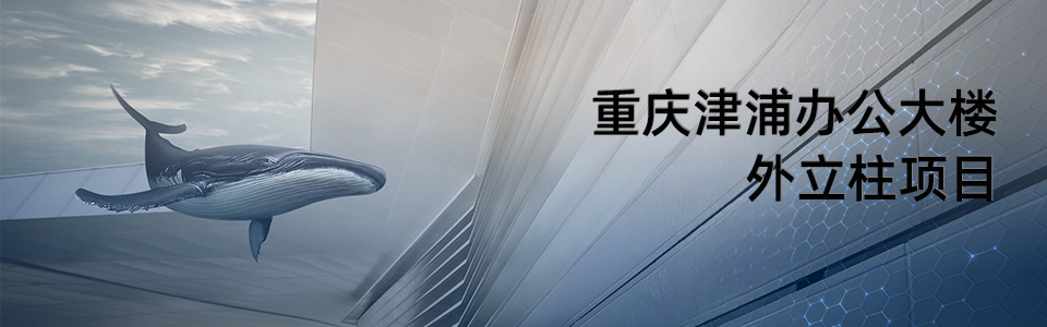 重慶津浦辦公大樓外立柱項(xiàng)目
