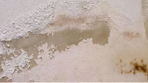 外墻泛堿難題如何破解？百適涂無機(jī)涂料提供長效防護(hù)方法