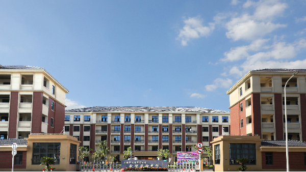 上海七寶中學附屬鑫都實驗中學墻面項目