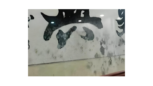 書畫掛墻如何防潮防霉？百適涂無機(jī)涂料防霉效果如何？不看后悔！